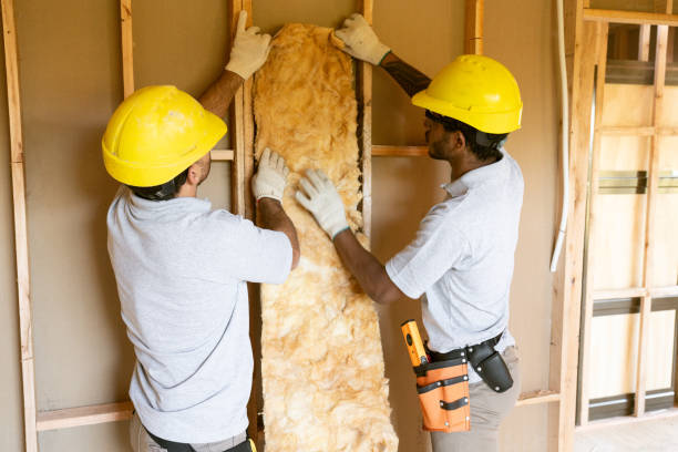 Best Soundproof Insulation  in Girard, IL